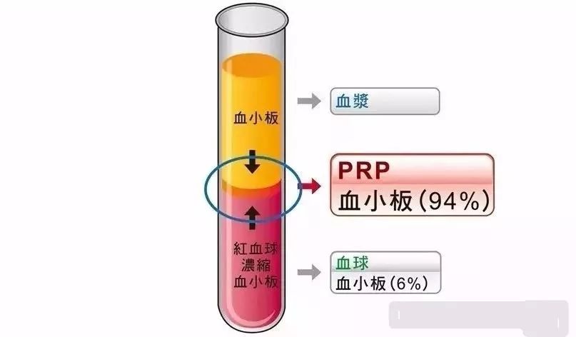 微信图片_20210319164519.jpg