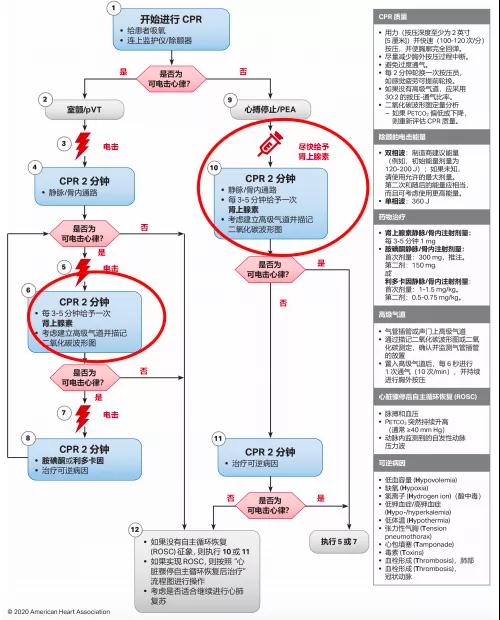 22成人心脏骤停流程图.jpg